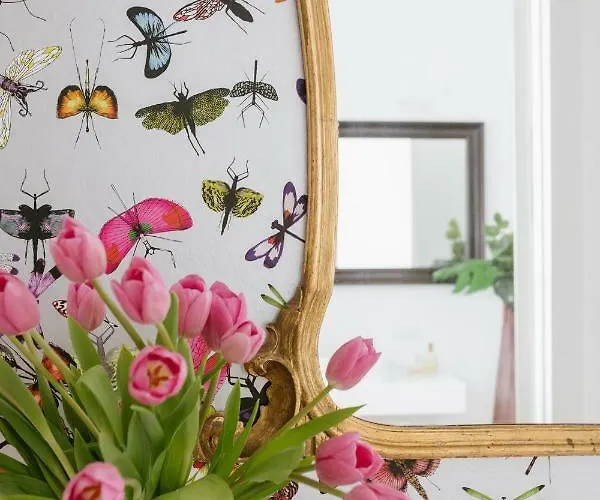 Vivere Isola Mediolan